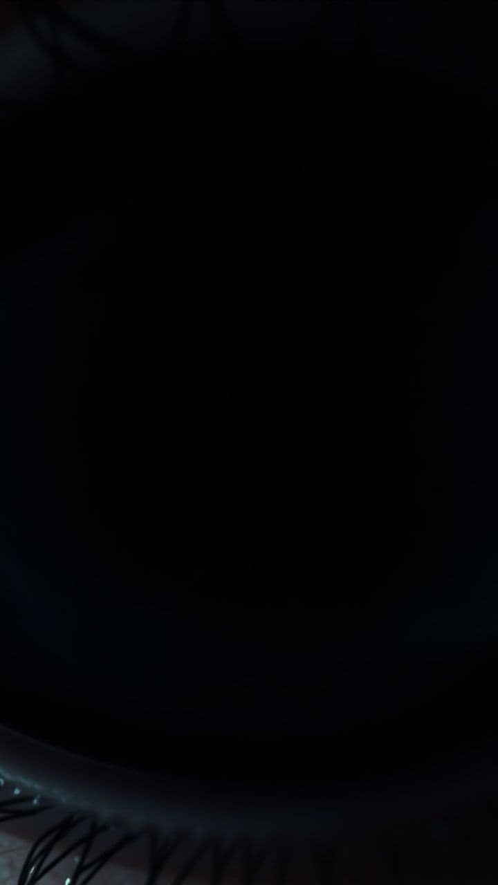 Inside the Eye: The Crystalline Lens