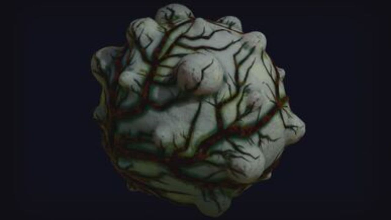 Mars: The Gateway to the Stars