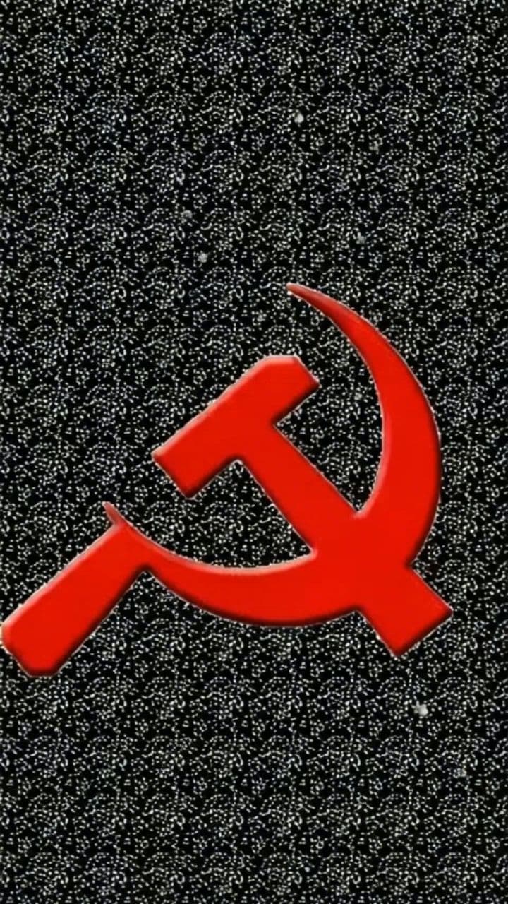 Image transform video