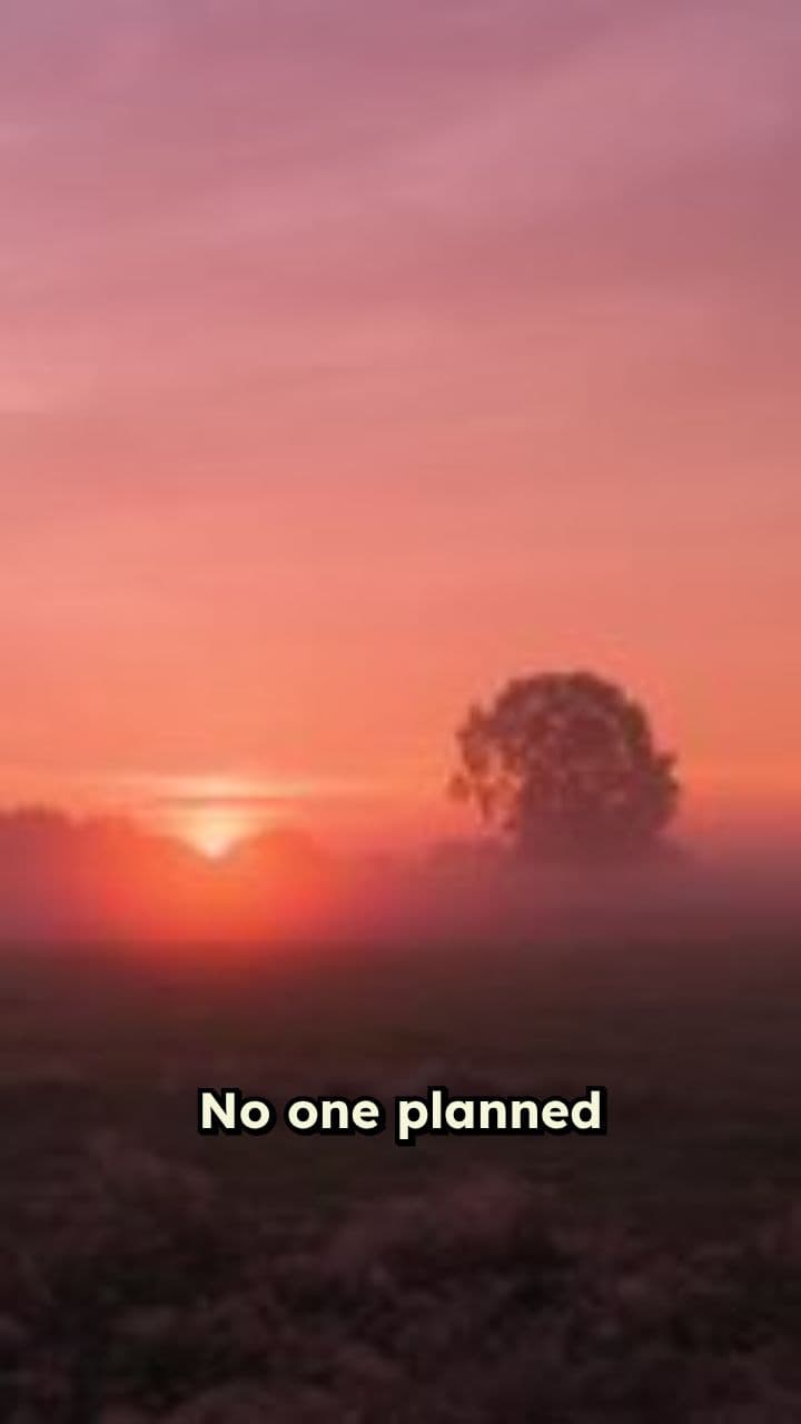 The Accidental War: Crimea 1854