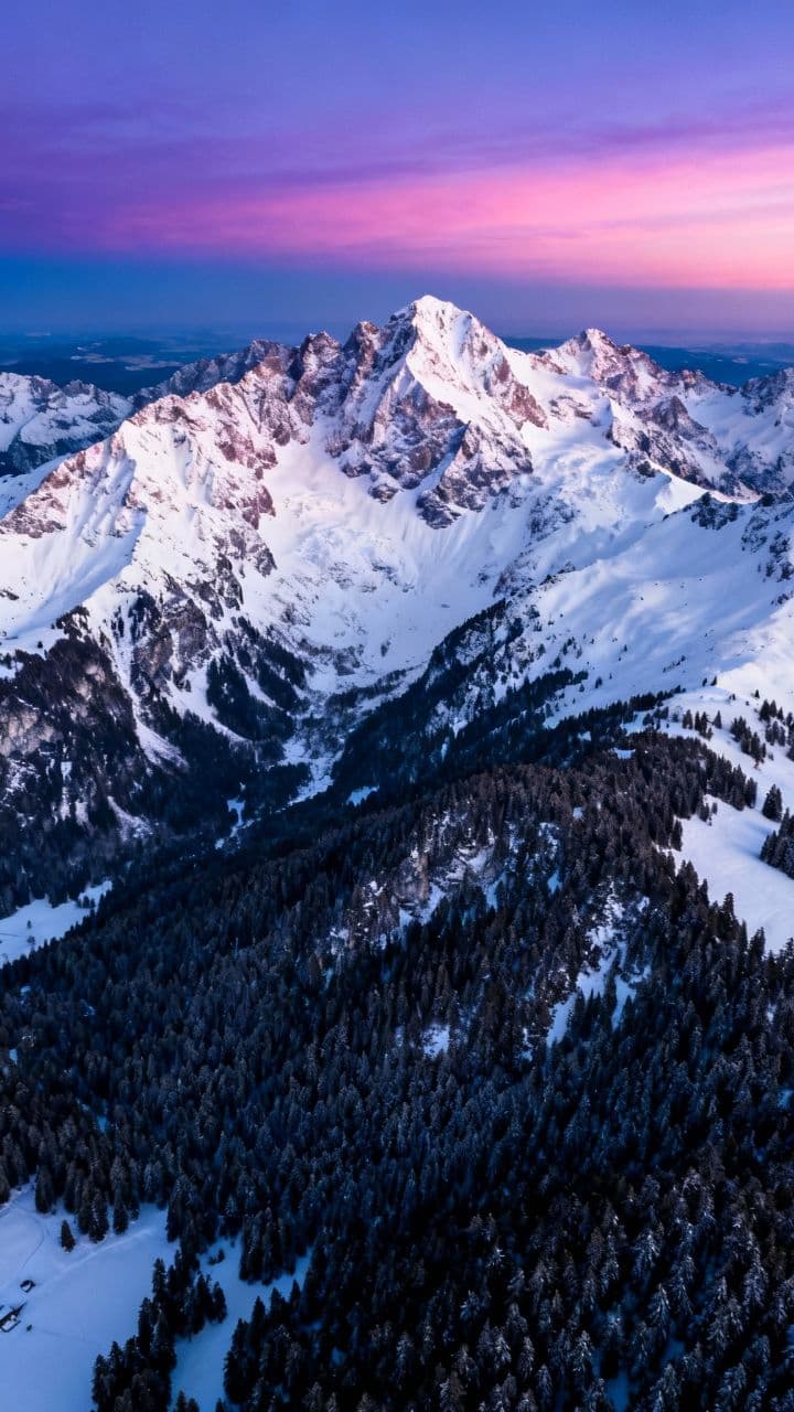 Jubiläum der Harmonie und Trauer