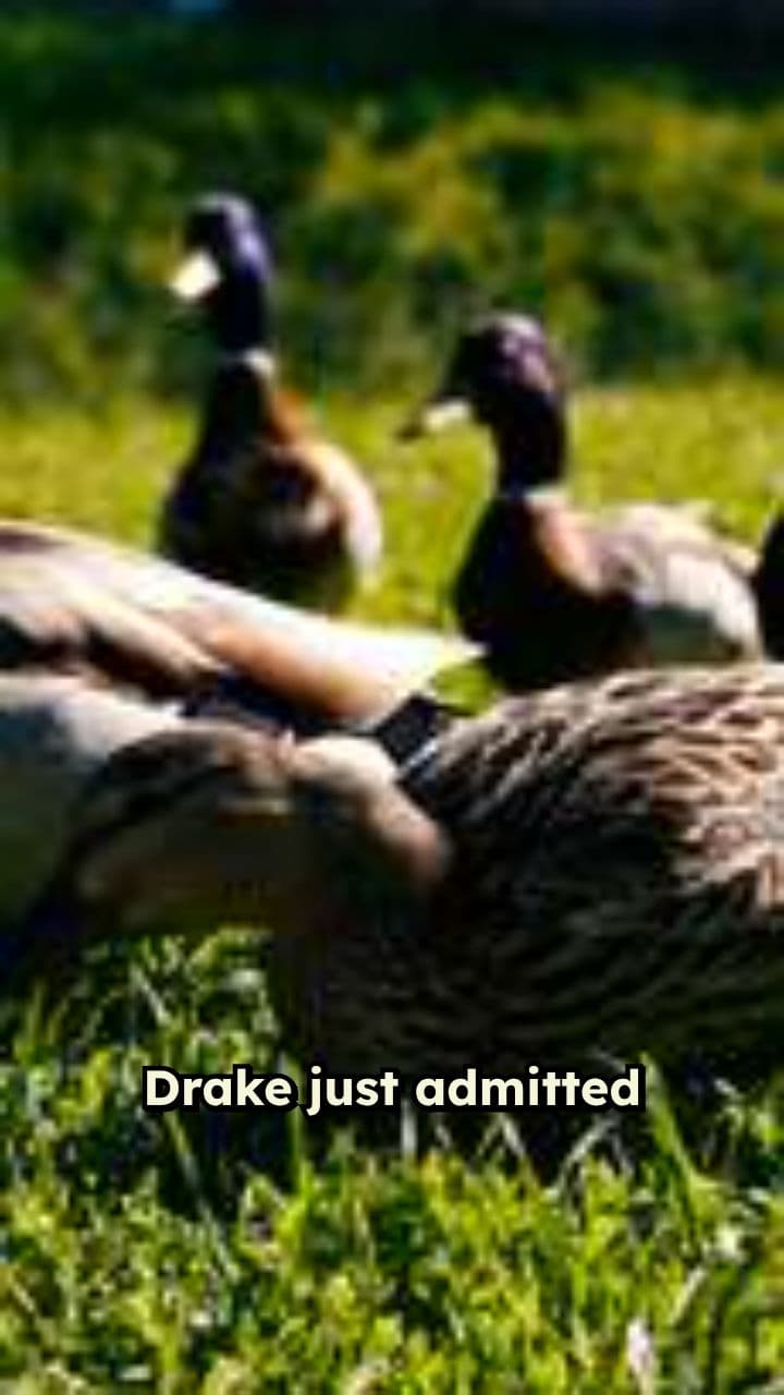 Drake Jokes About Adonis and Iceman