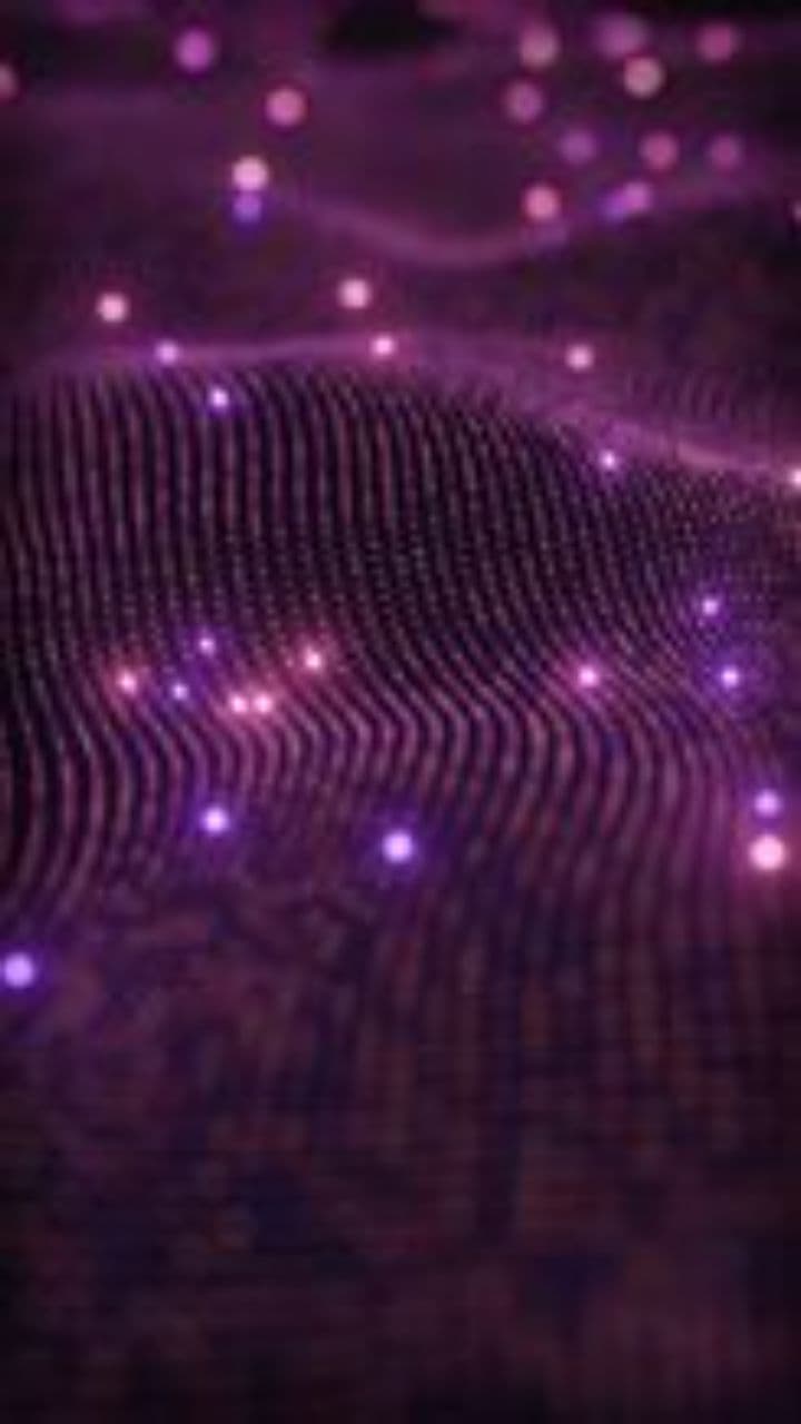 Mystical Journey of World Fusion