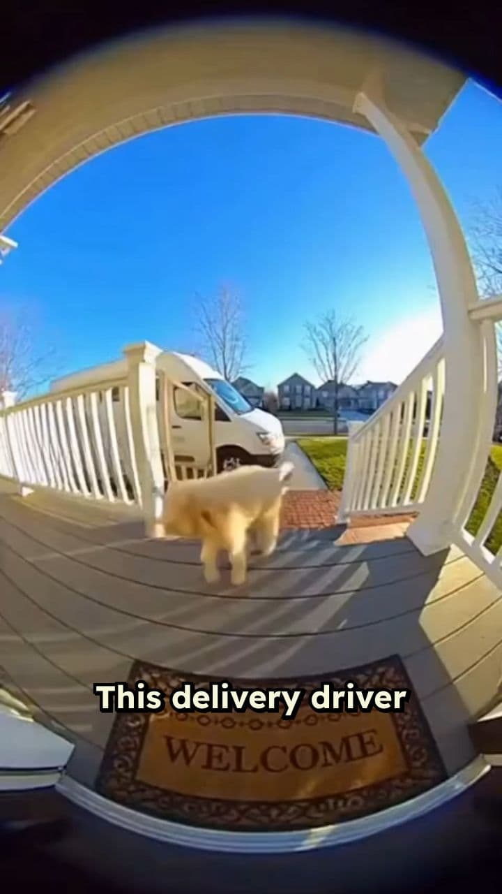 Dog-napping Delivery Driver's Cuddly Heist