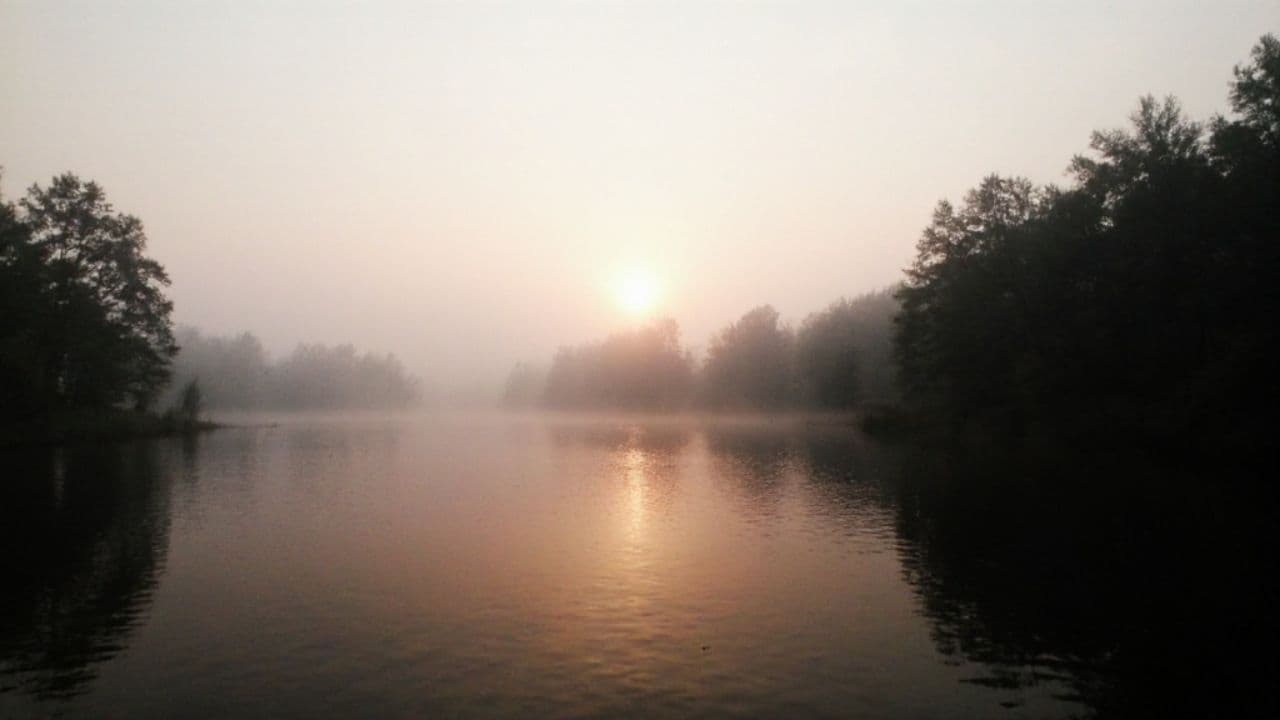 Моє серце належить тобі