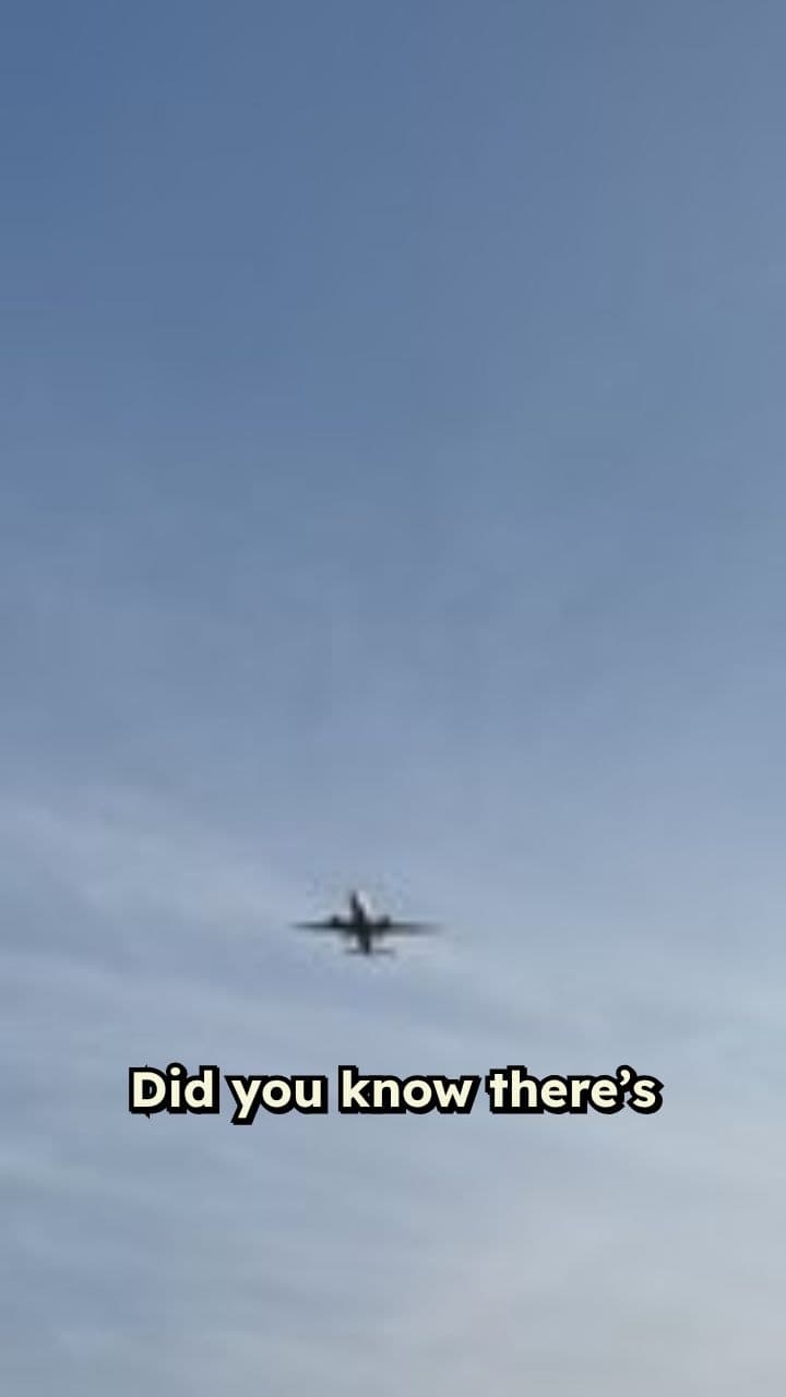 World's Shortest Flight: 47 Seconds