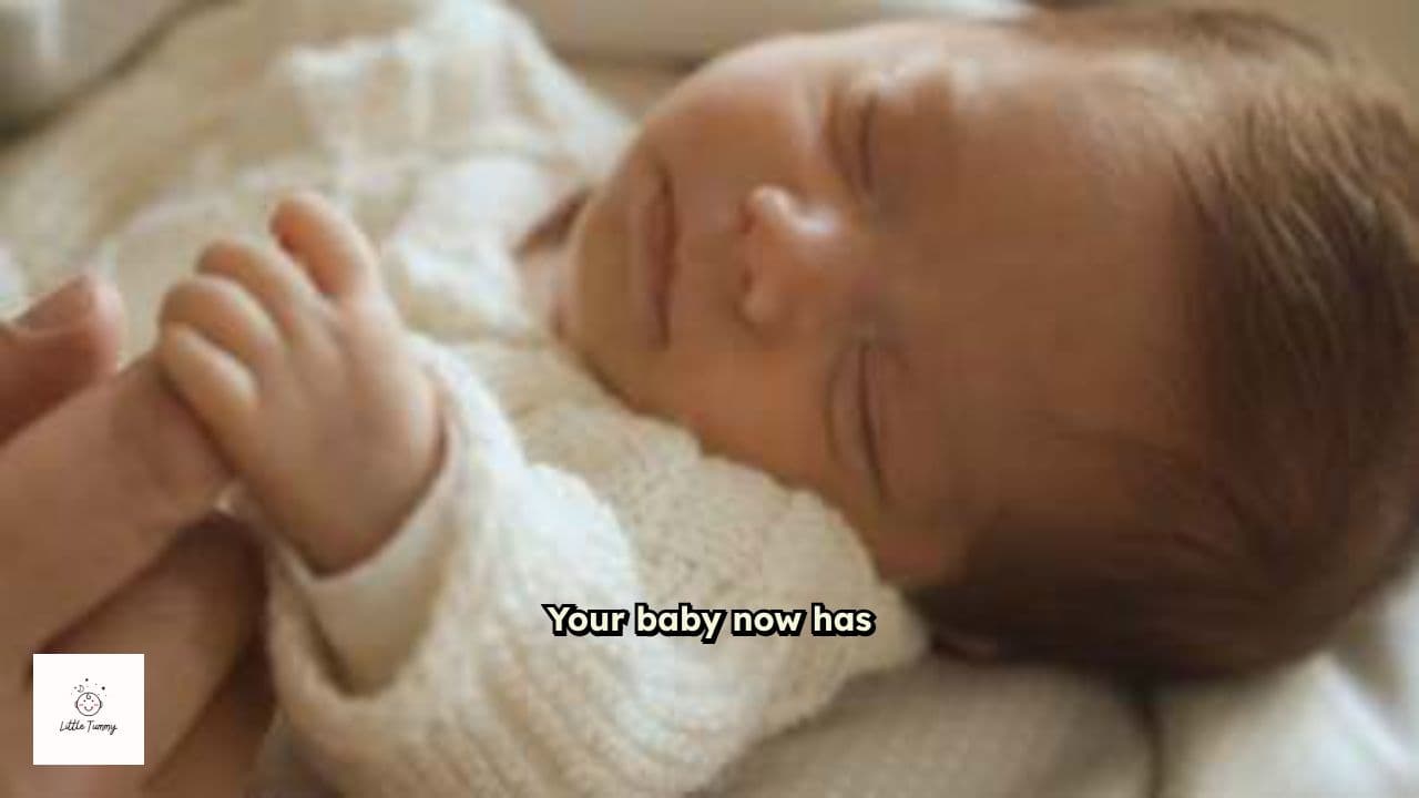 Your Baby's Growth at Week 19