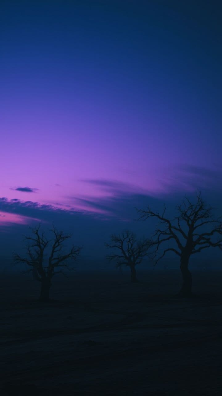 E lucevan le stelle d'amore