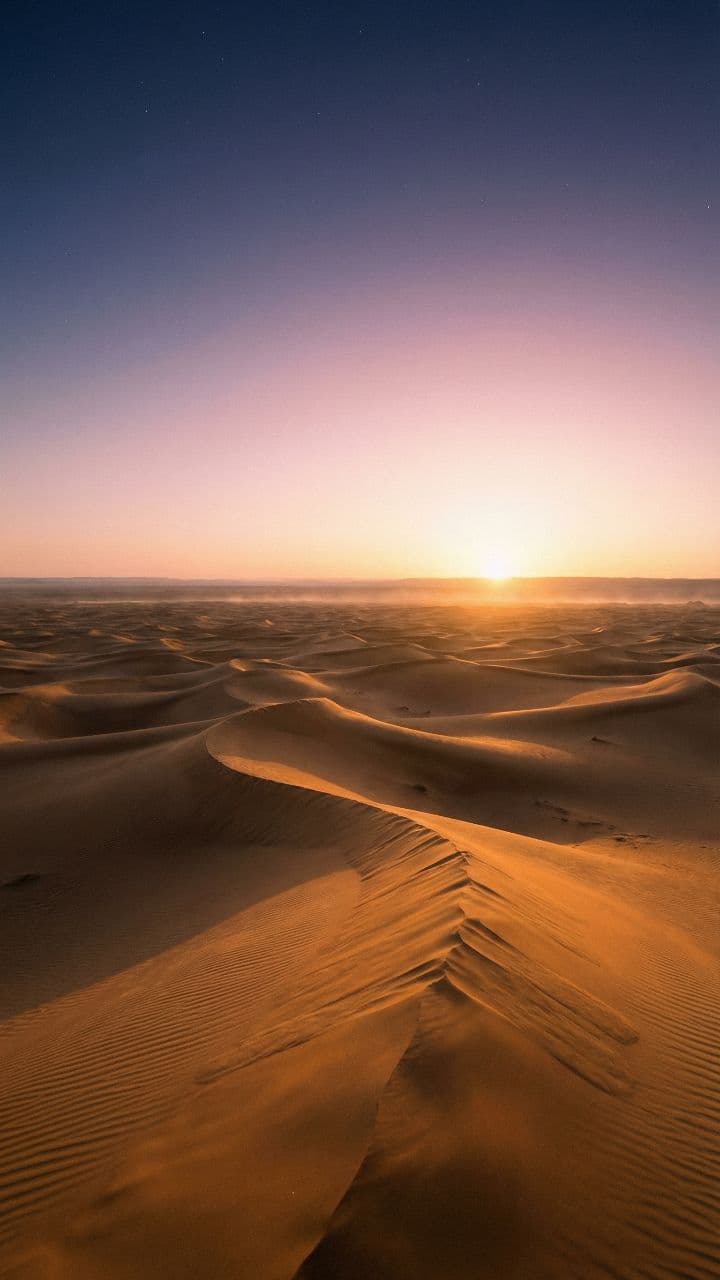 مصر والكن دل