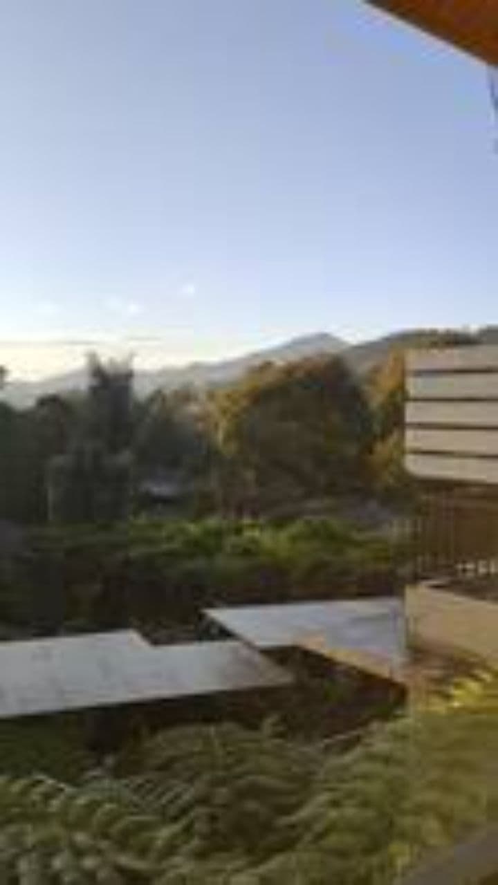 Morning Serenity at Five Fifty-Five