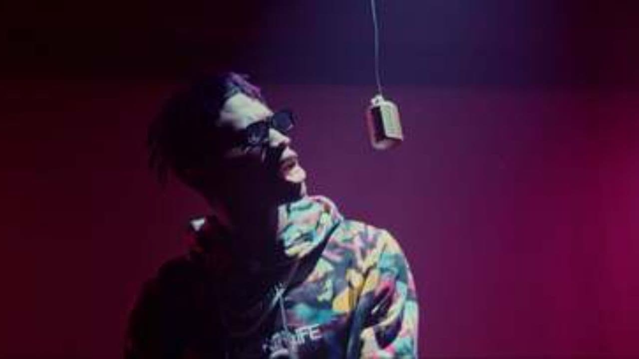 देसी किंग की आवाज