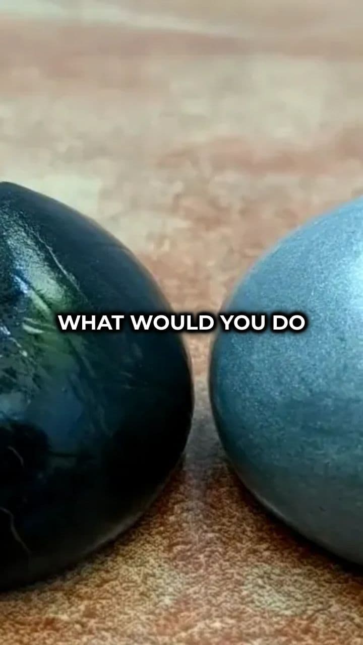 The Wrong Text That Changed Everything