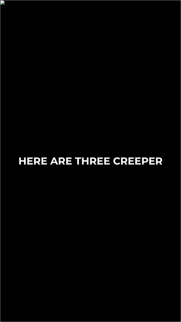 Surprising Creeper Facts You Didn't Know