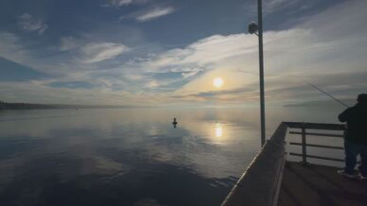 Gratidão Sustenta Meu Caminhar