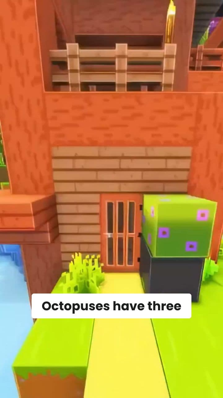 Octopuses: Three Hearts and Blue Blood