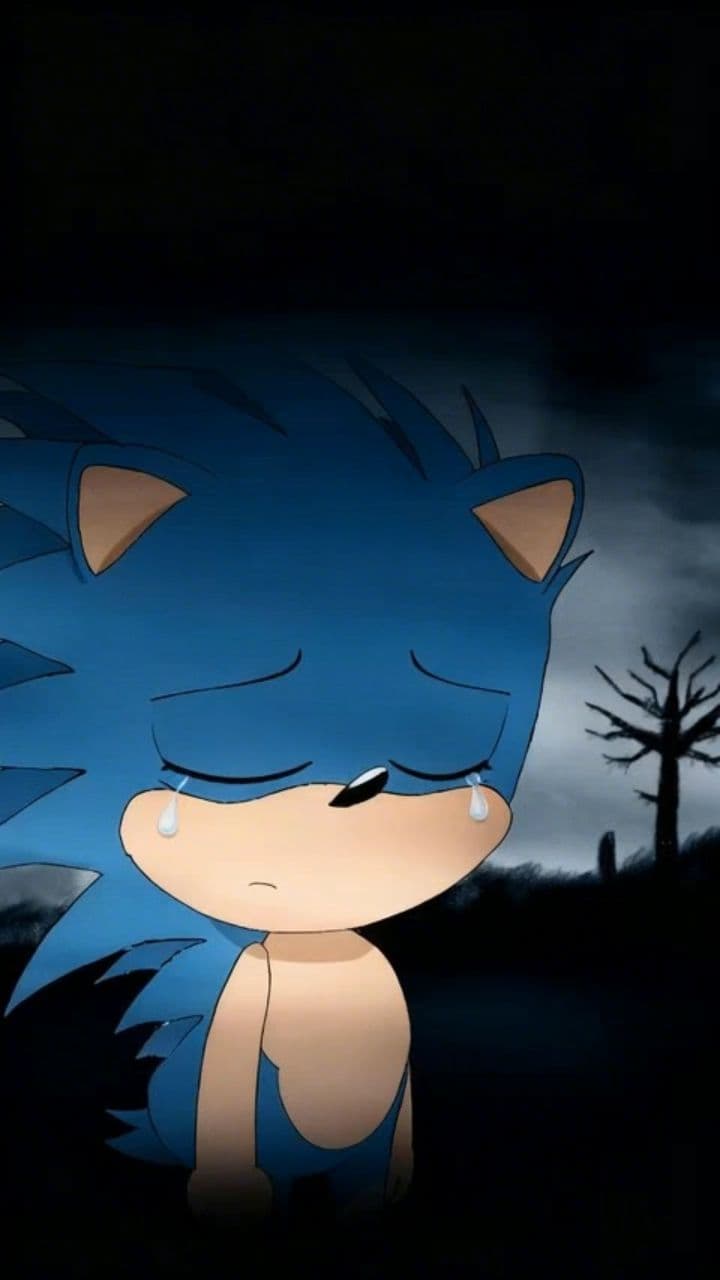 Image transform video