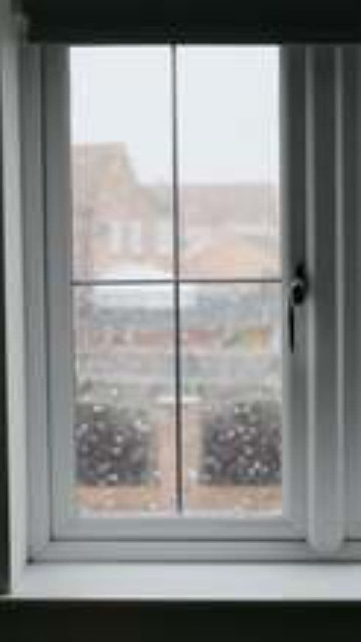 Vientuļa kaka Ziemassvētkos