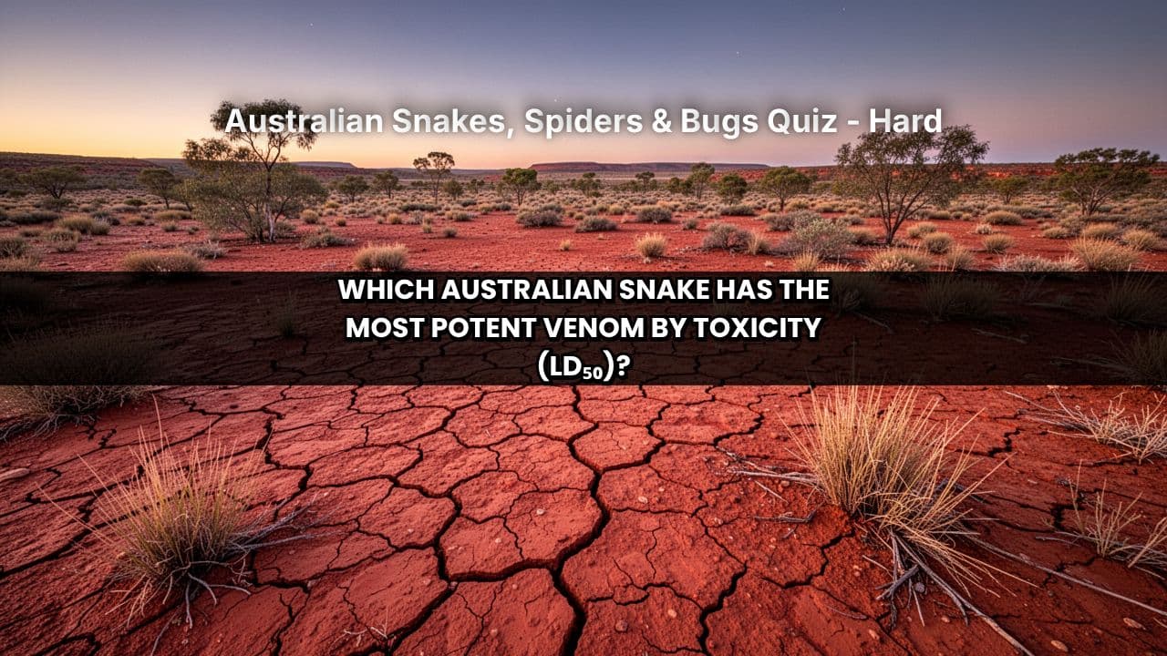 Australian Snakes, Spiders & Bugs Quiz - Hard