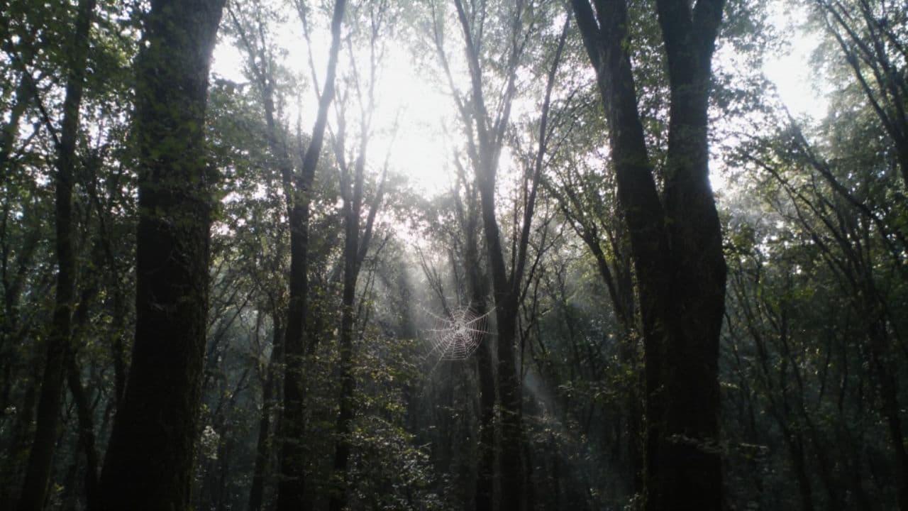 Krása domova a lásky