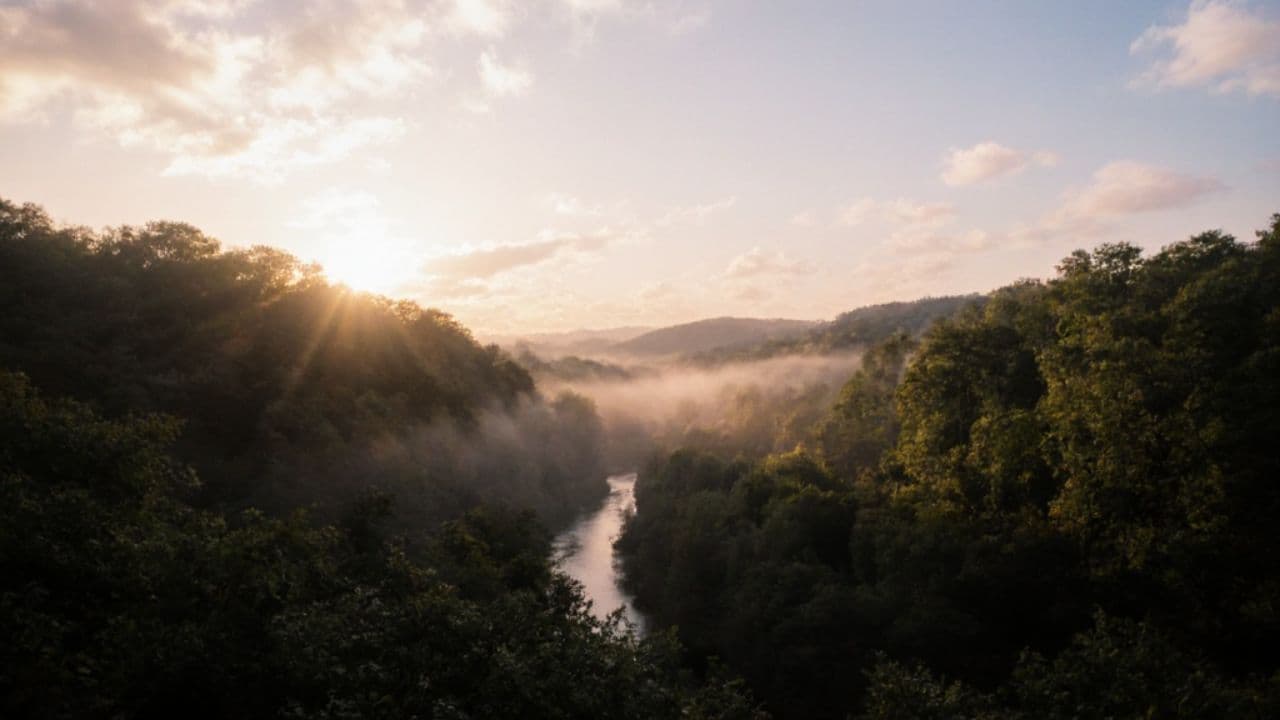 Empowered to Create My Life