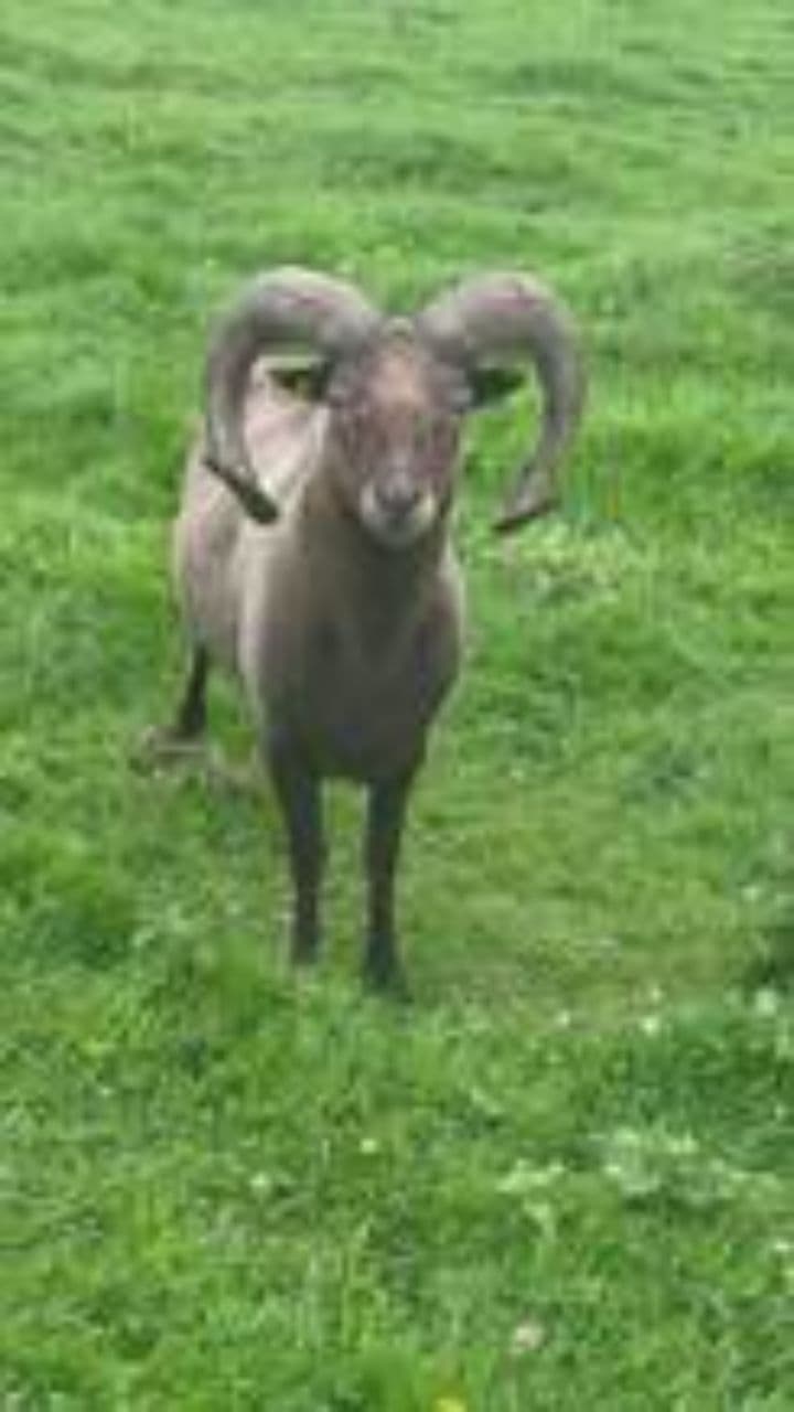 Life's Timing and Needs