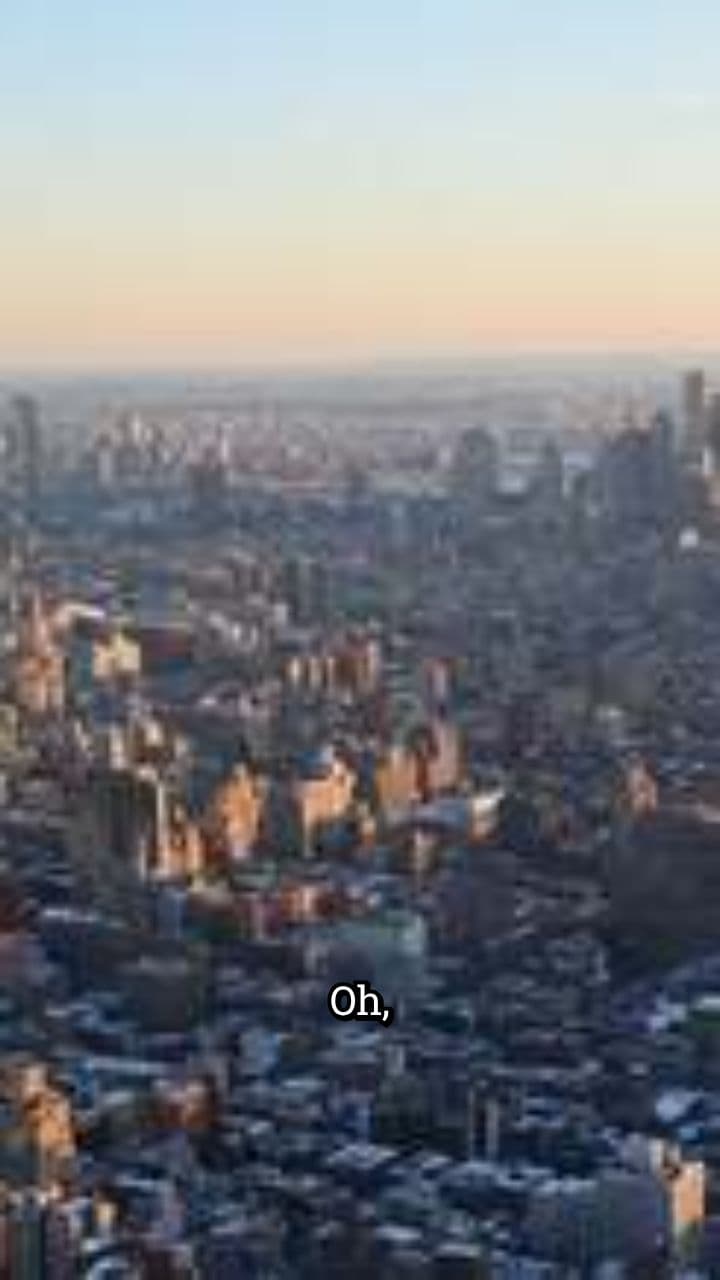 Urban Foxes: London's Cheeky Anarchists