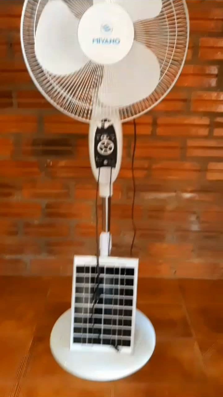 Masajea tu cerebro y siente el placer