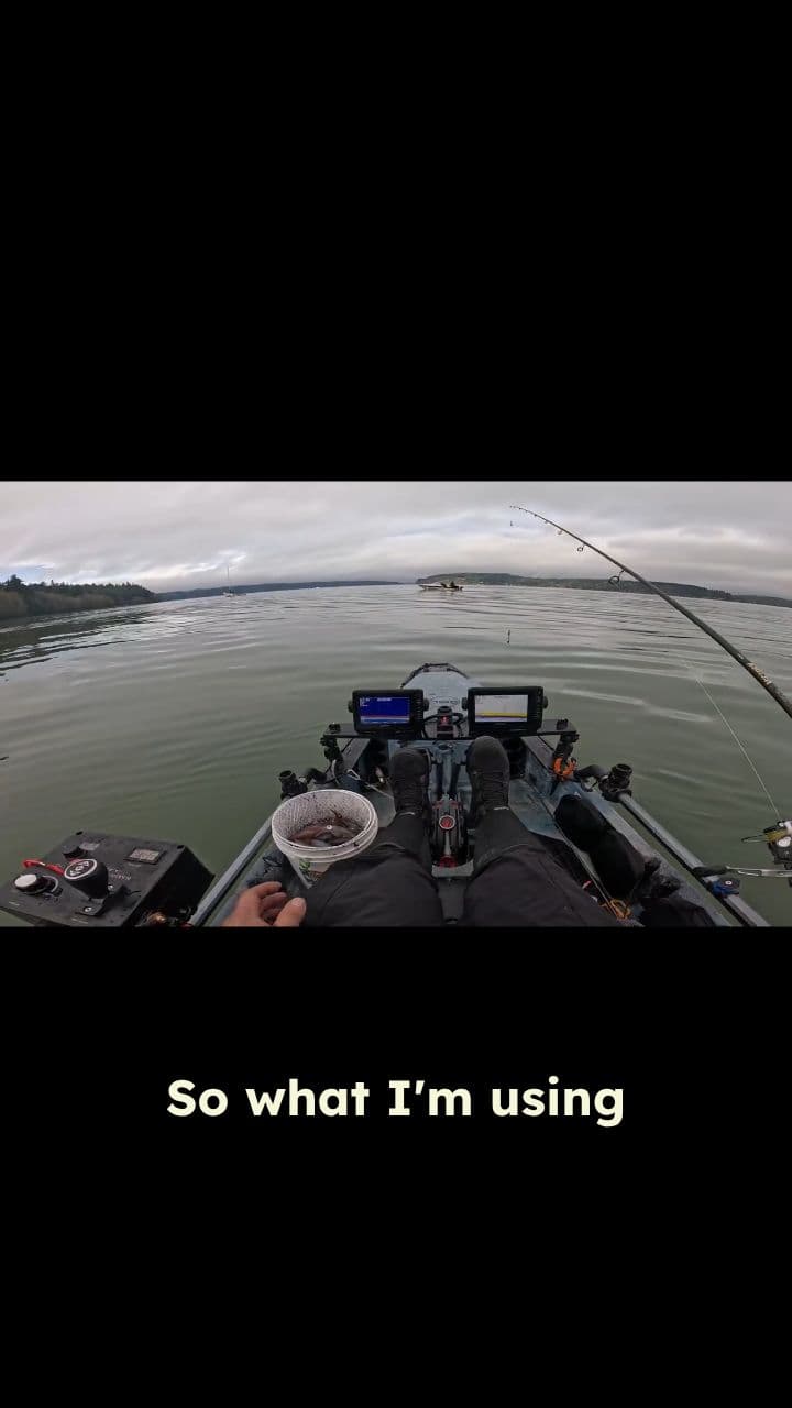 My Simple Squid Catching Setup