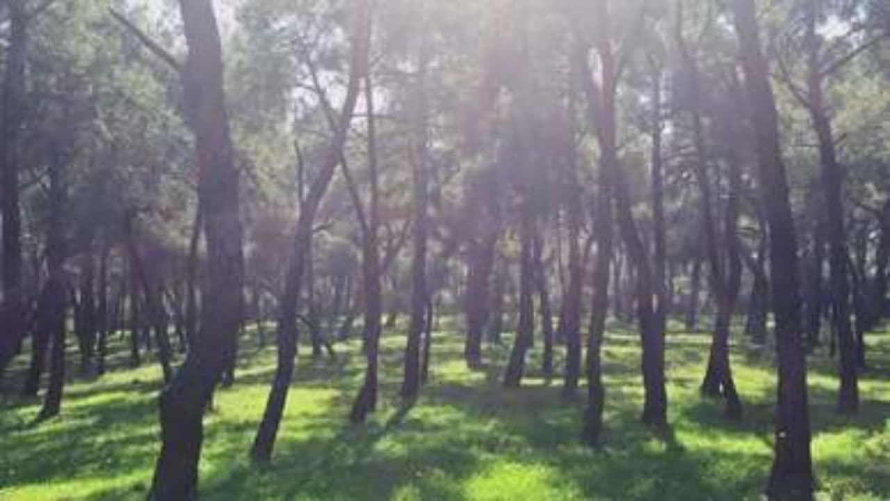 Жизнь на краю