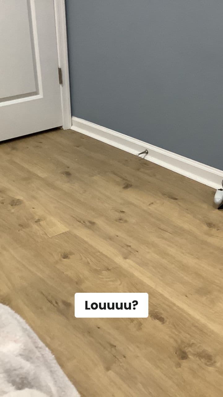 Spaghetti-Gatto's Birthday Brainrot