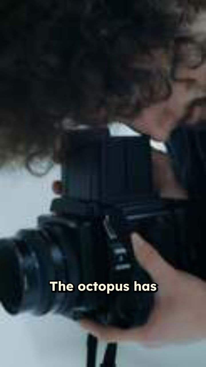 Why Octopuses Avoid Swimming