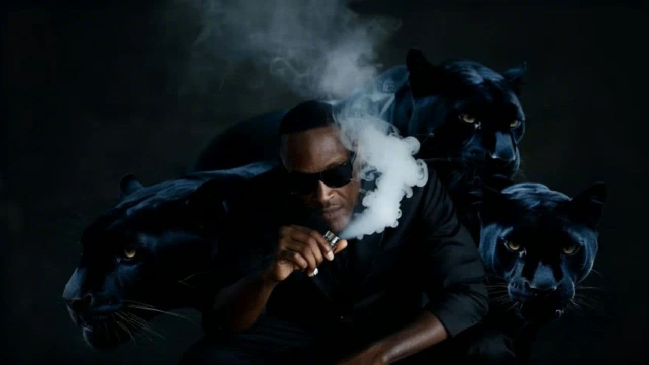 Image transform video