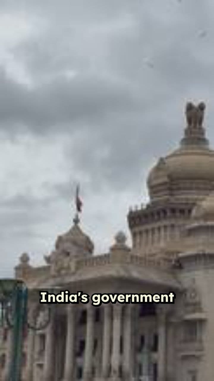 Basics of India's Democratic Government