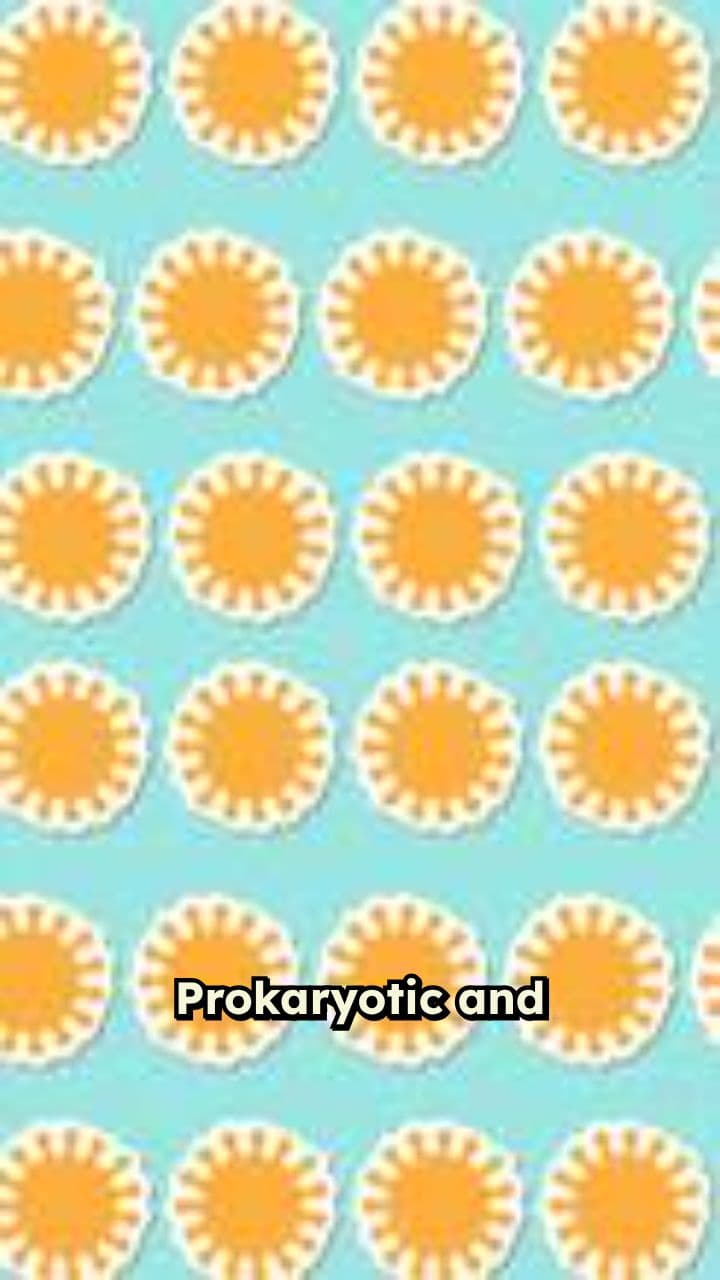 Prokaryotic vs. Eukaryotic Cells