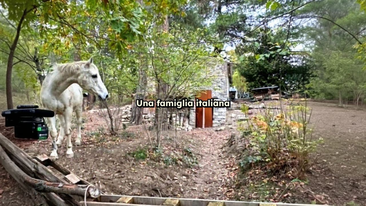 Libertà educativa o pericolo per i minori?