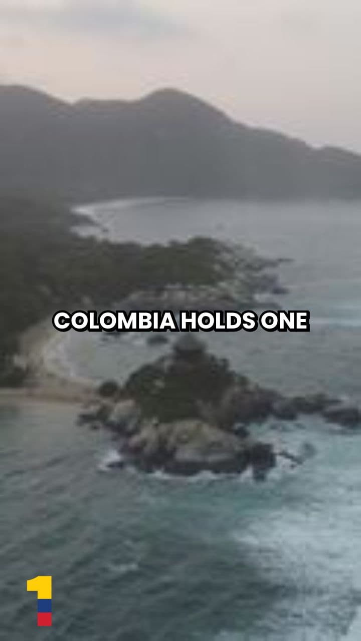 Ancient Healing Traditions of Colombia