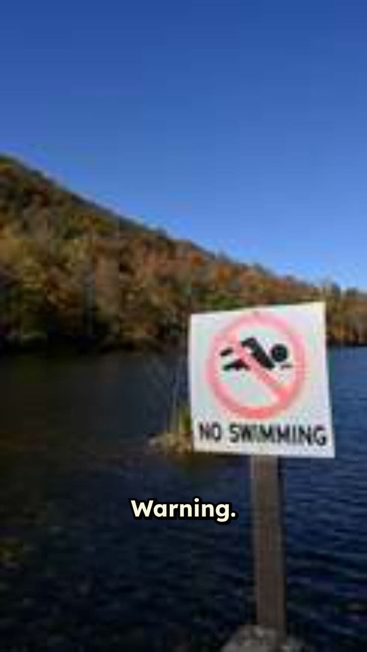 The Desert's Dark Reflection