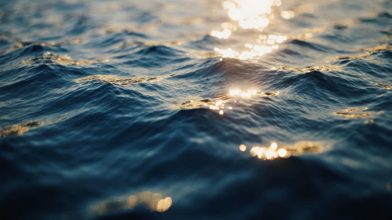 Oh Lord, Please Allow Me