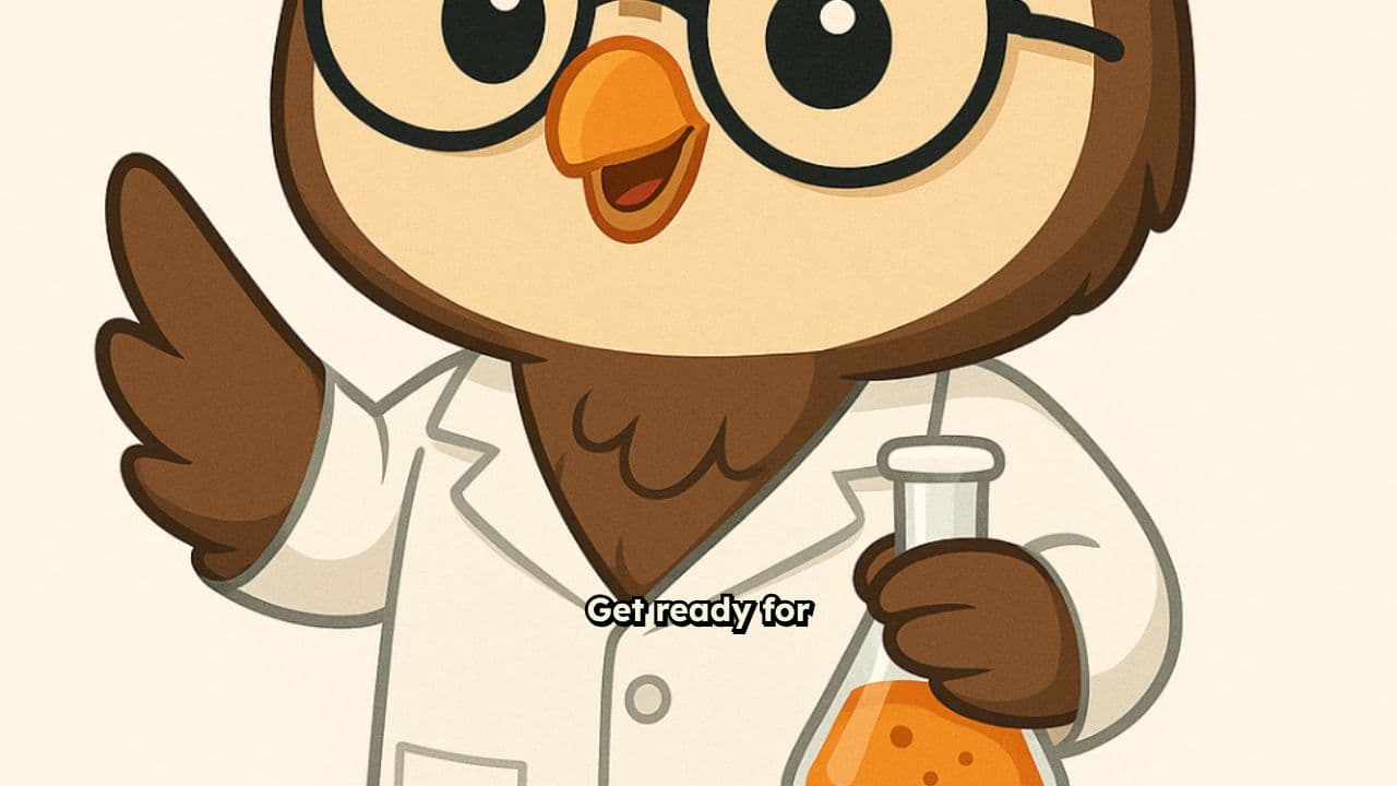 The How & Why Show Intro