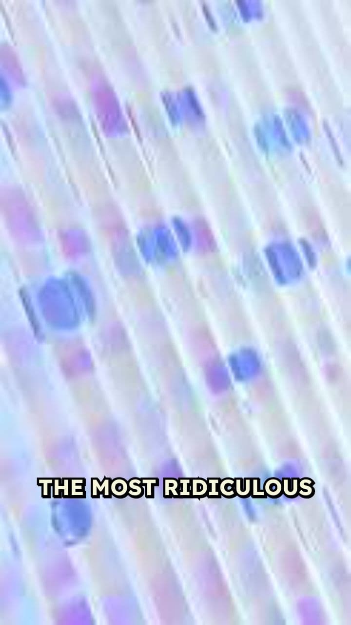 Ridiculous Pickup Lines That Make No Sense