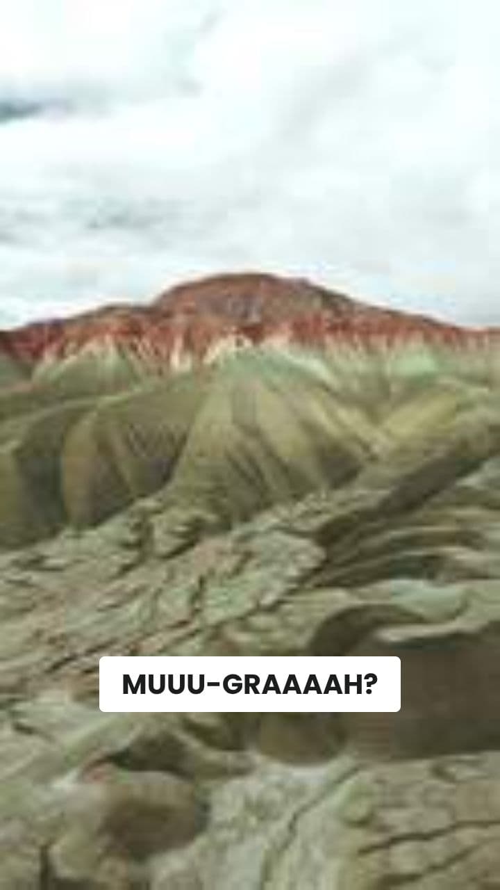 La RanaMuccaGazzella del Deserto Nonsense