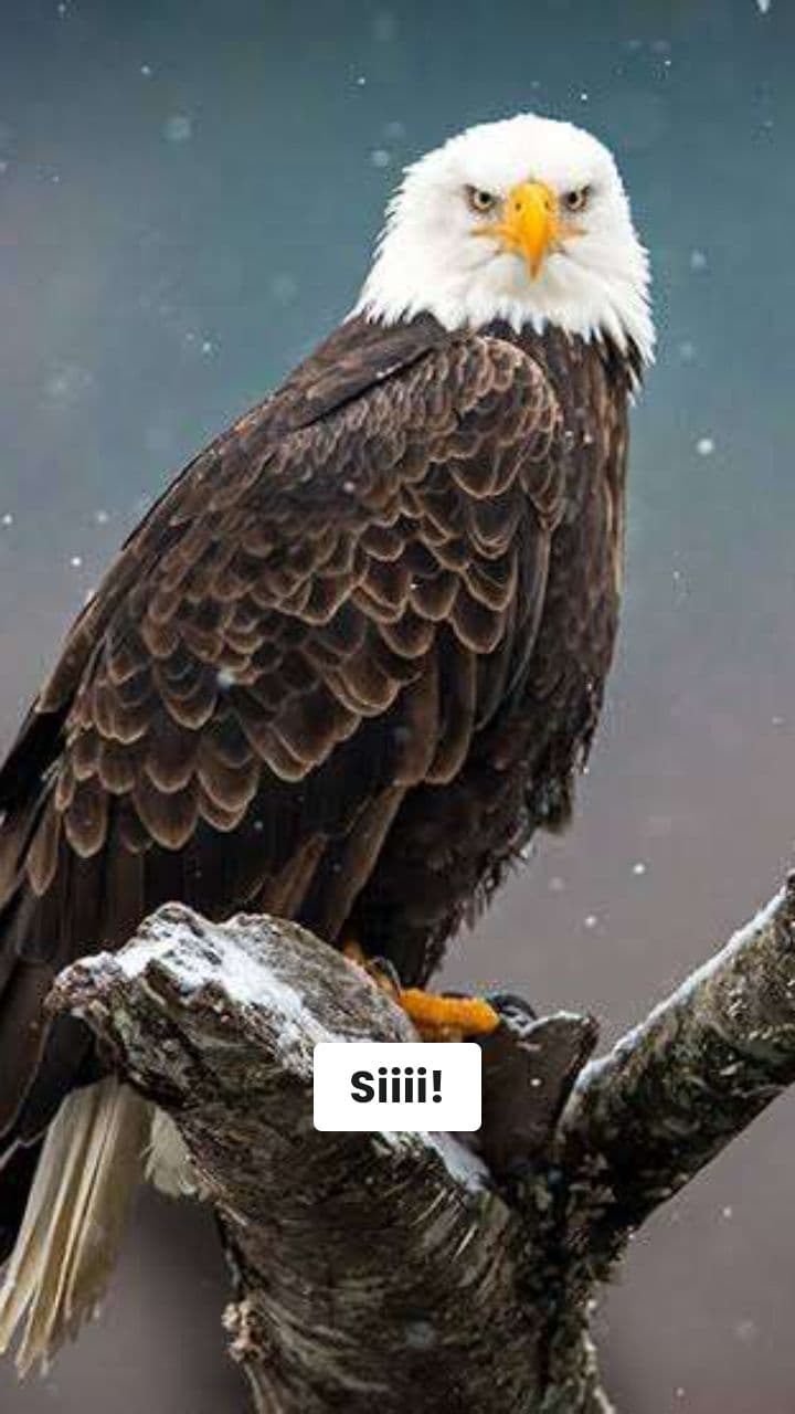 Aquilamontagna: Il Sole E La Selfie