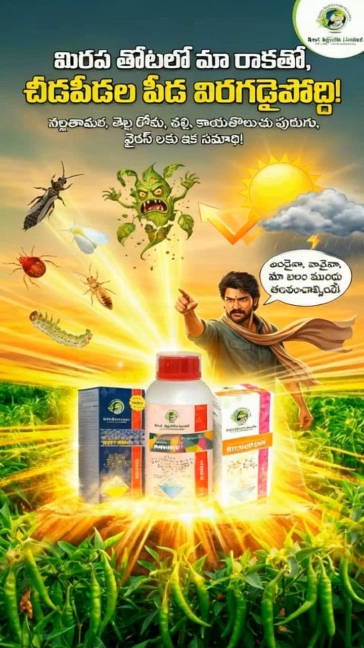 Image transform video