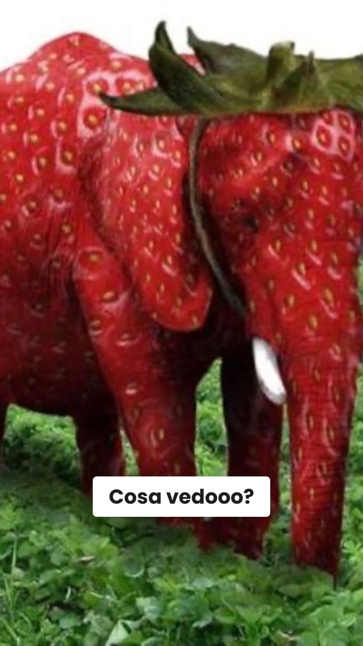 Le Avventure di Straberri Canelloni