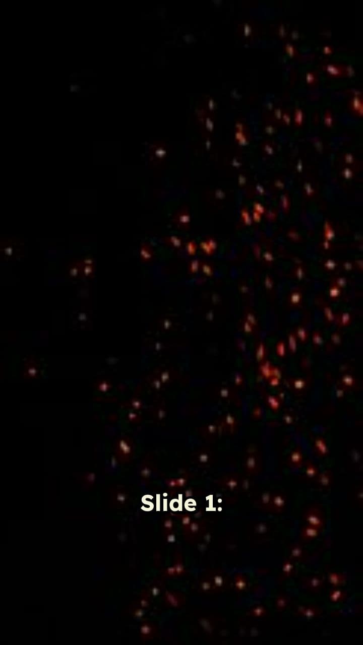 1971 का युद्ध: साहस और बलिदान