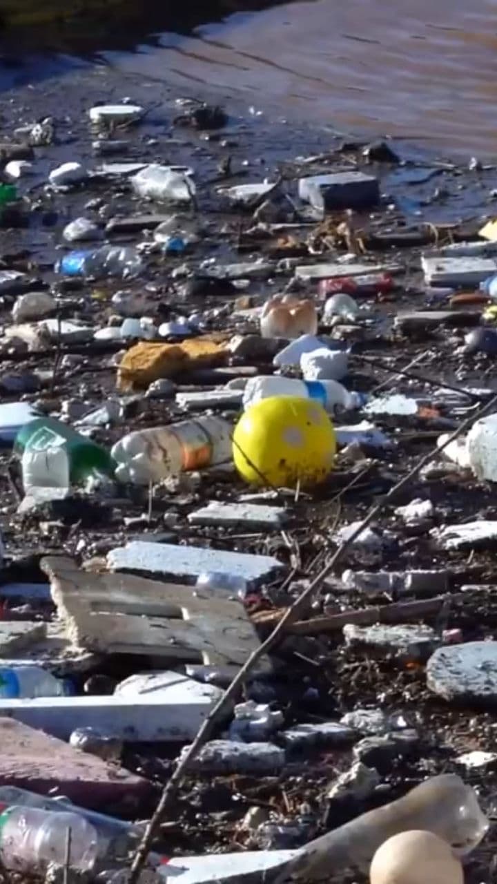 Transformando Uruguay hacia un futuro limpio