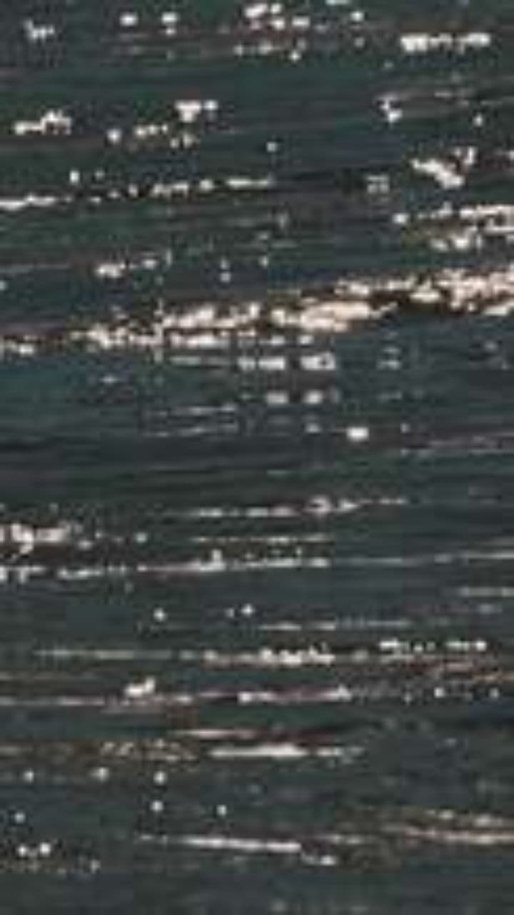 ವನಸಿರಿಯ ಸೊಬಗಿಗೆ ಕನಸು