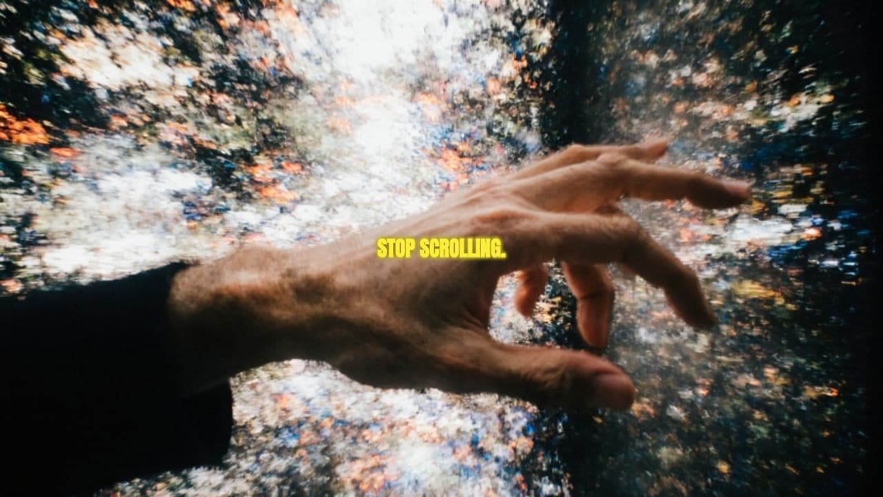 Finding Peace in Chaos