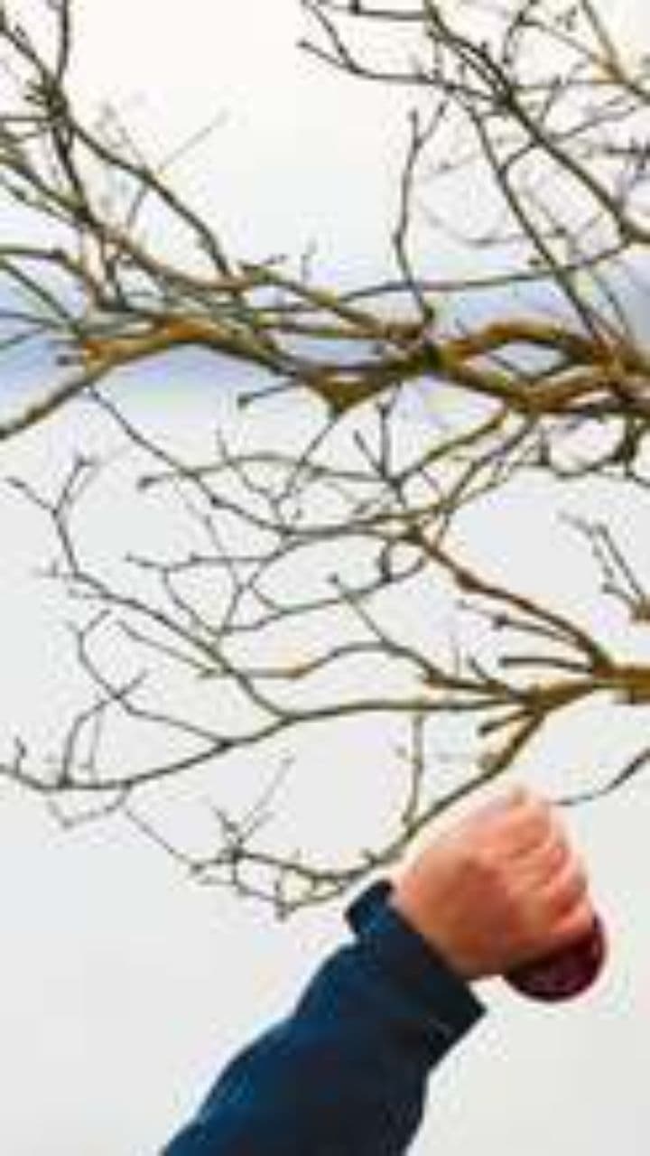 Un Message d'Espoir pour Noël