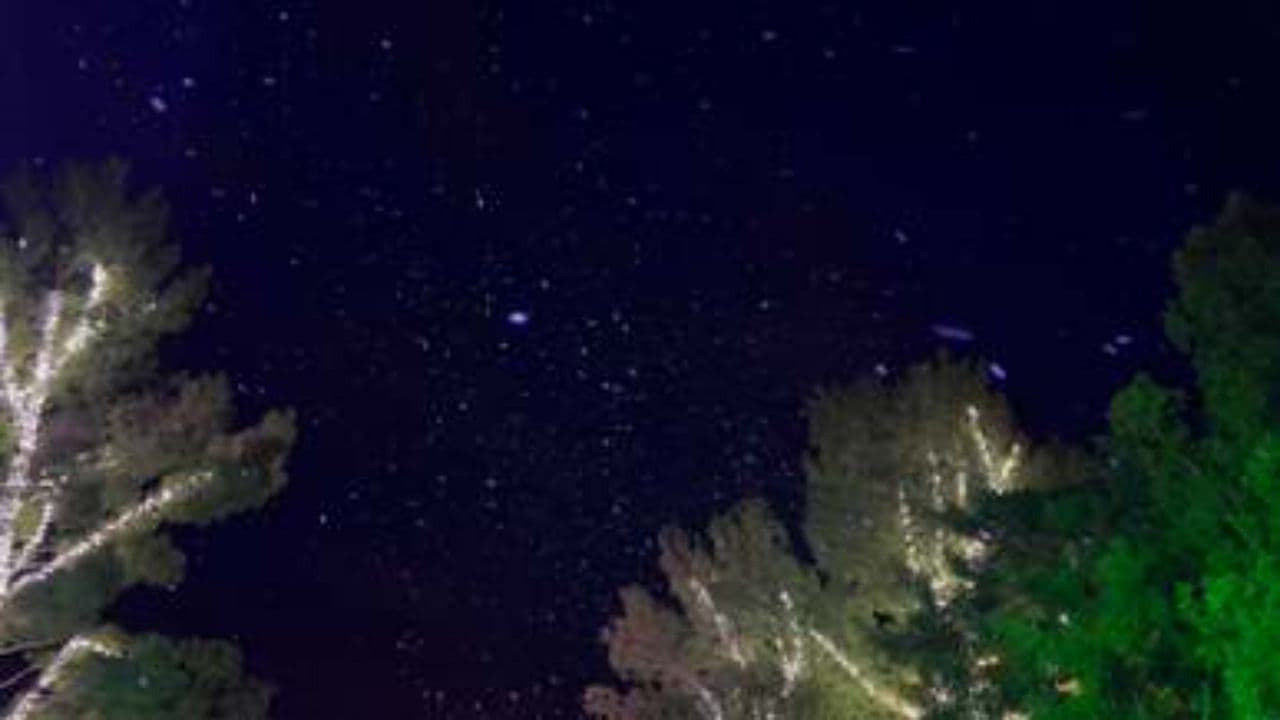 Jesus the Reason for the Season - Christmas Carol